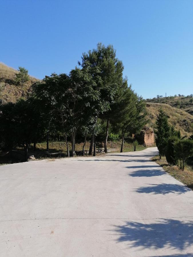 Apartamentos Rurales Camino Del Cid Castejon de las Armas Екстер'єр фото