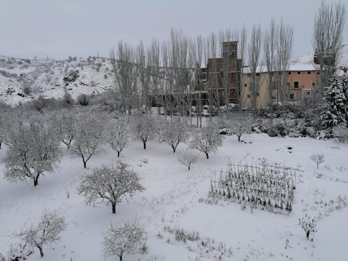Apartamentos Rurales Camino Del Cid Castejon de las Armas Екстер'єр фото