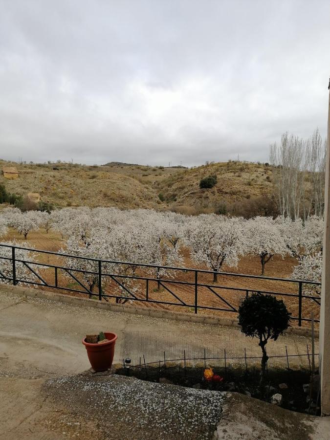 Apartamentos Rurales Camino Del Cid Castejon de las Armas Екстер'єр фото