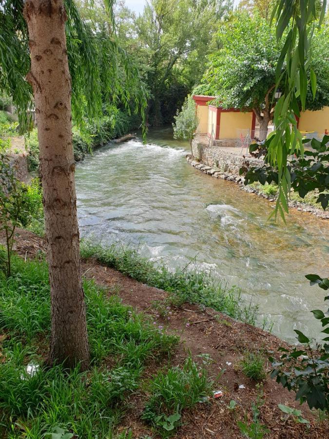Apartamentos Rurales Camino Del Cid Castejon de las Armas Екстер'єр фото
