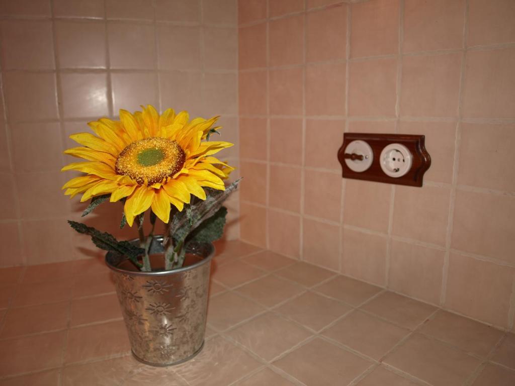 Apartamentos Rurales Camino Del Cid Castejon de las Armas Номер фото