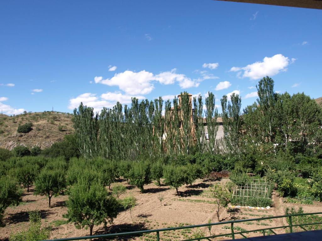Apartamentos Rurales Camino Del Cid Castejon de las Armas Екстер'єр фото