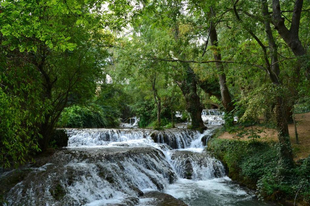 Apartamentos Rurales Camino Del Cid Castejon de las Armas Екстер'єр фото
