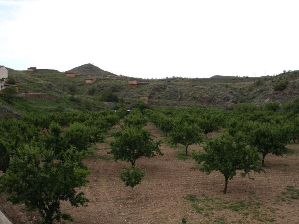 Apartamentos Rurales Camino Del Cid Castejon de las Armas Екстер'єр фото