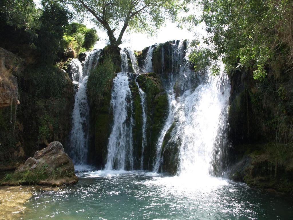 Apartamentos Rurales Camino Del Cid Castejon de las Armas Екстер'єр фото