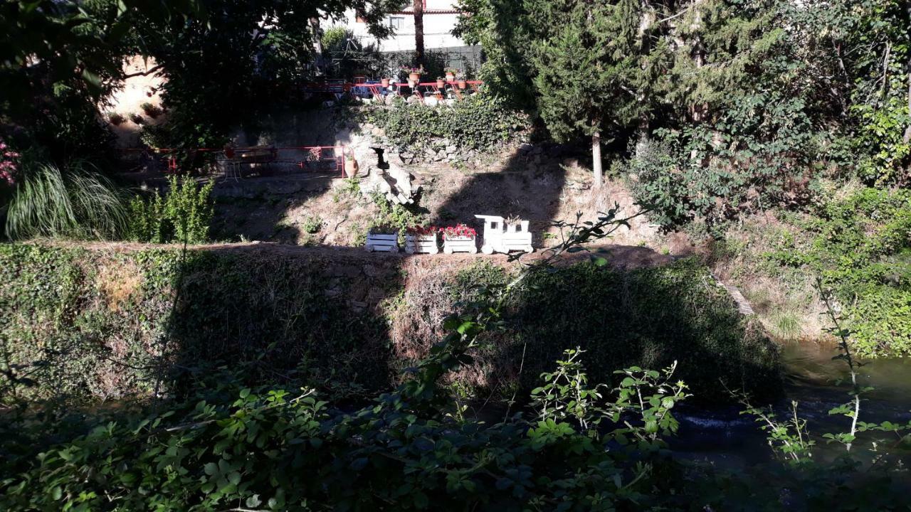 Apartamentos Rurales Camino Del Cid Castejon de las Armas Екстер'єр фото
