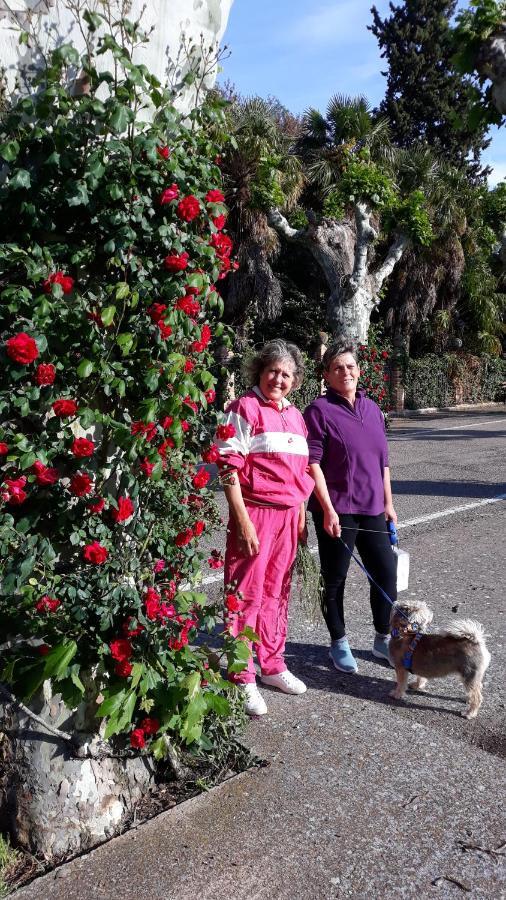Apartamentos Rurales Camino Del Cid Castejon de las Armas Екстер'єр фото